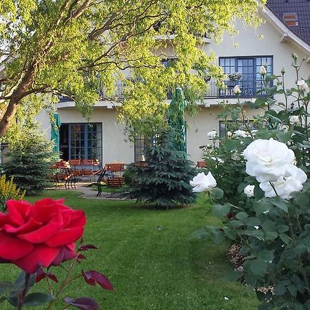 Villa Westfalia Guest House Tîrgu Secuiesc Exteriér fotografie