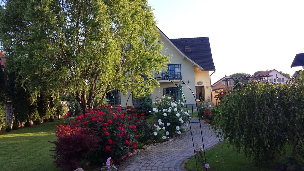 Villa Westfalia Guest House Tîrgu Secuiesc Exteriér fotografie