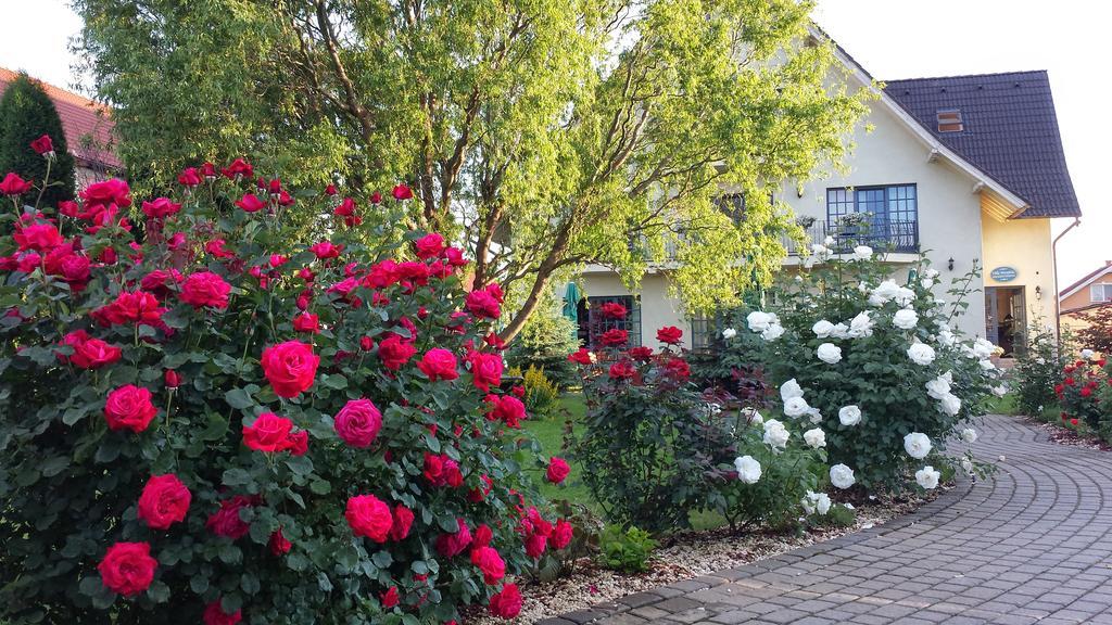 Villa Westfalia Guest House Tîrgu Secuiesc Exteriér fotografie
